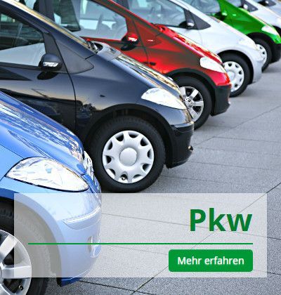 EICH Autovermietung Pkws